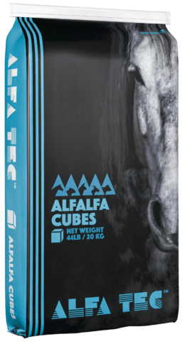 Alfalfa Cubes