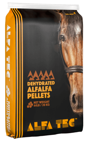 Dehydrated Alfalfa Pellets