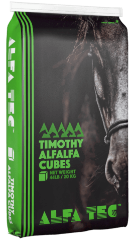Timothy Alfalfa Cubes